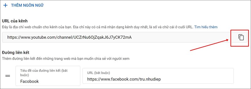 Tuy chỉnh URL chuẩn SEO cho kênh Youtube
