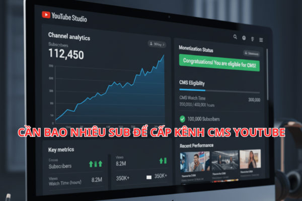 Giải Đáp Chi Tiết: Cần Bao Nhiêu Sub Để Cấp Kênh CMS YouTube Trong Năm 2025?